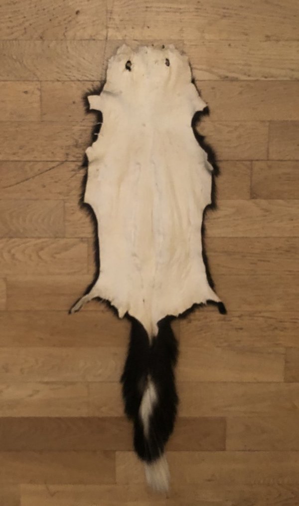Skunkfell Schwarz-Weiß