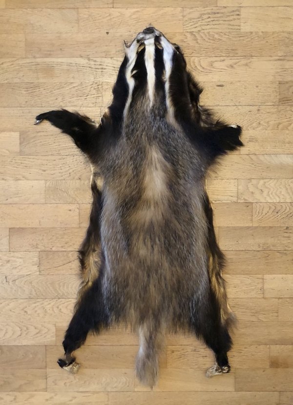 Badger Pelt